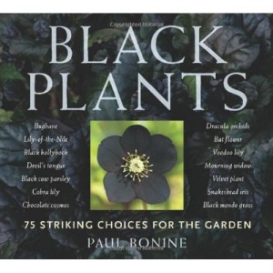 Black Plants: 75 Striking Choices for the Garden