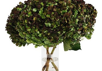 Antique Hydrangea Charcoal Flower