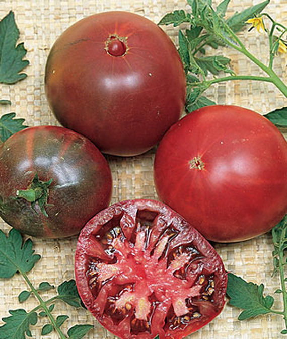 Black Krim Tomatoes