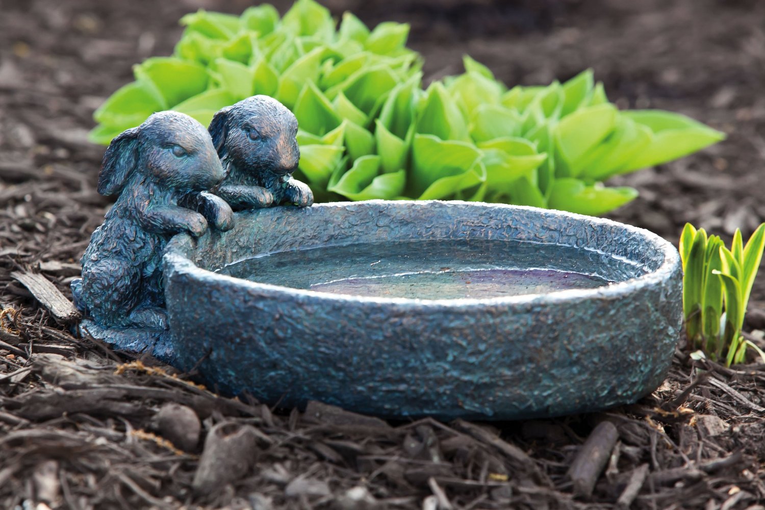 Bird Baths and Bird Accessories