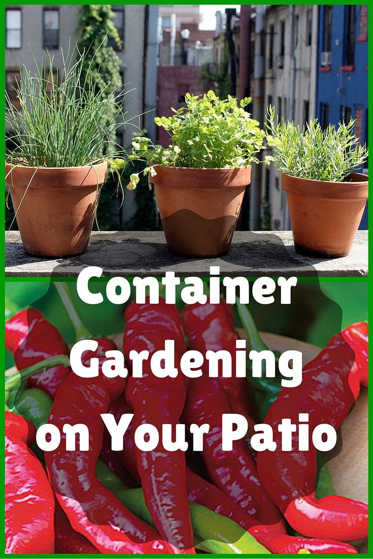 Container Gardening on Your Patio