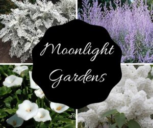 Moonlight Gardens