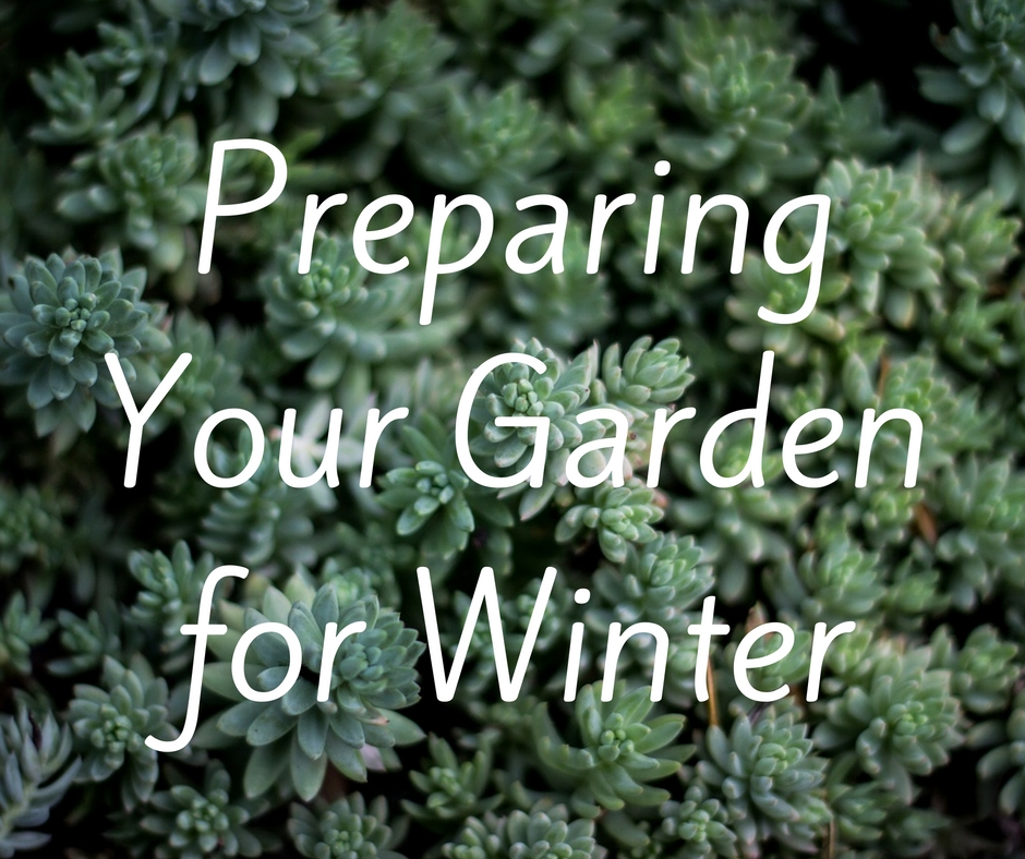 Preparing Your Garden for Winter