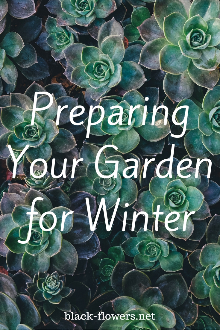 Preparing Your Garden for Winter