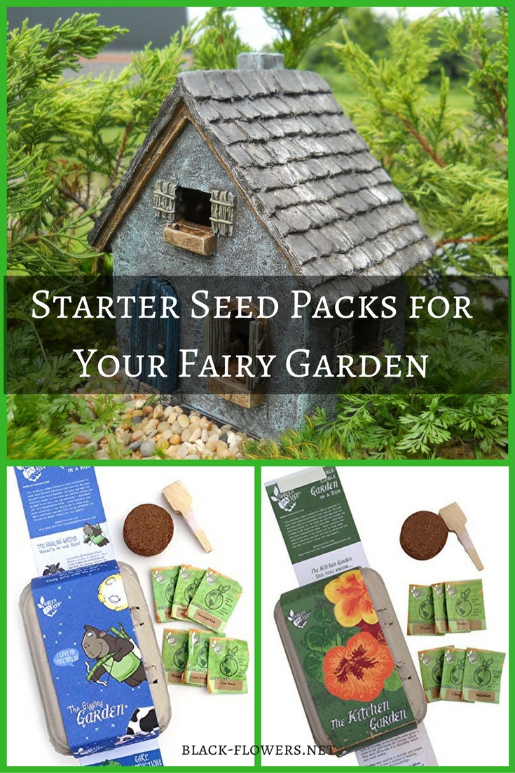 Starter Seed Packs for Your Fairy Garden & Other Specialty Gardens