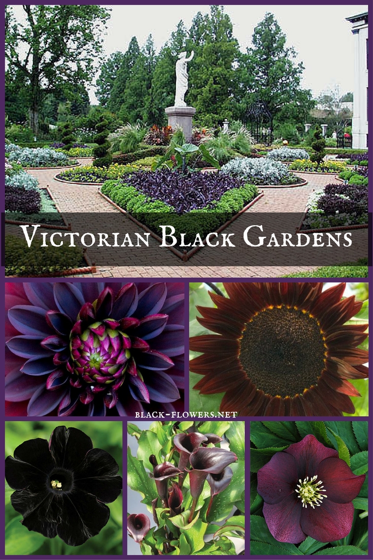 Victorian Black Gardens