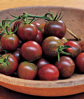 Tomatoes 'Black Cherry,' 'Black Plum' and 'Black'