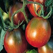 Certified Organic Tomato, Black Plum 25 Seeds Pack