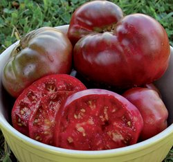 Black Krim Tomato Seeds