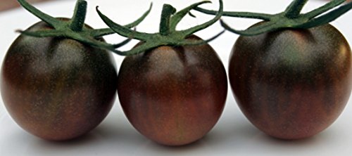 Black Cherry Tomato 25 Seeds