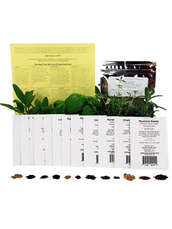 Assortment of 12 Culinary Herb Seeds - Grow Cooking Herbs- Parsley, Thyme, Cilantro, Basil, Dill, Oregano, Sage, More