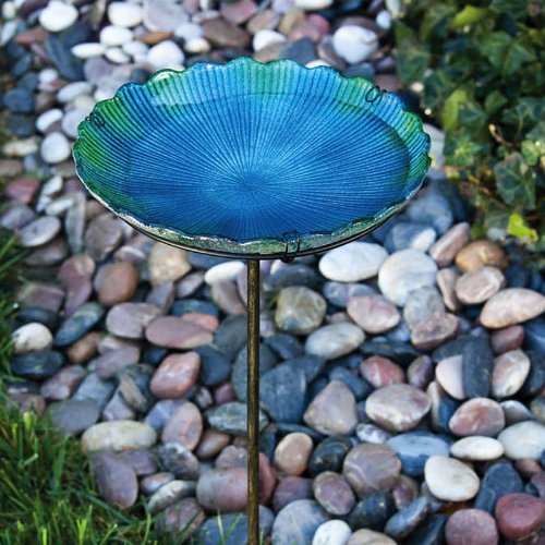 Sea Birdbath