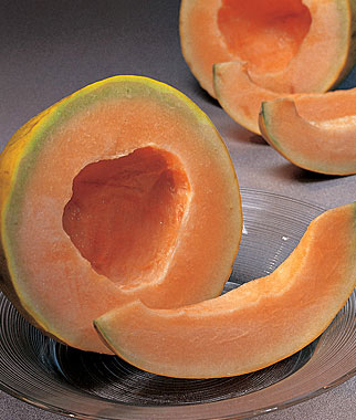 Melon, Burpees Early Hybrid Crenshaw 1 Pkt. (30 seeds)