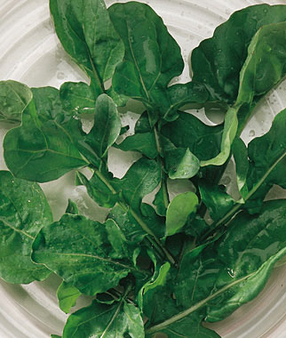 Arugula, Organic 1 Pkt. (500 seeds)