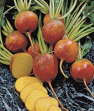 Beet, Burpee's Golden 1 Pkt. (200 seeds)