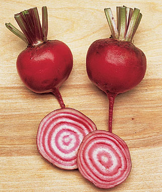 Beet, Chioggia 1 Pkt. (400 seeds)