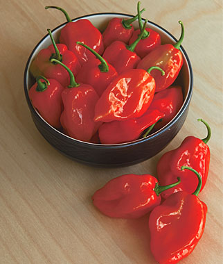Pepper, Hot, Habanero Red Organic 1 Pkt. (75 seeds)