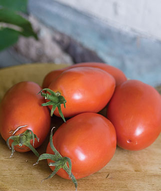 Tomato, Amish Paste Organic Heirloom 1 Pkt. (25 seeds)