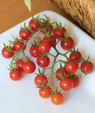 Tomato, Honeybunch 1 Pkt. (30 seeds)