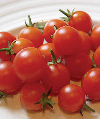 Tomato, Sweet Baby Girl Hybrid 1 Pkt. (30 seeds)