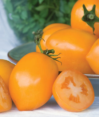 Tomato, Tangerine Mama Hybrid 1 Pkt. (15 seeds)