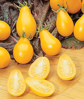 Tomato, Yellow Pear 1 Pkt. (125 seeds)
