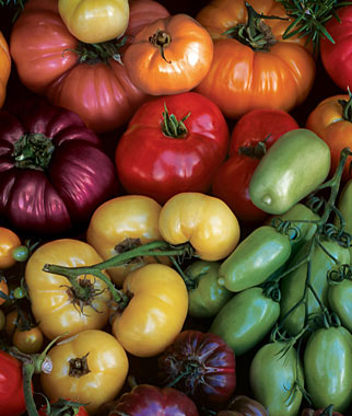 Tomato, Rainbow Blend Heirloom 1 Pkt. (40 seeds)