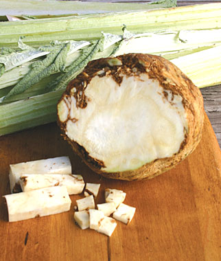 Celeriac, Brilliant 1 Pkt. (35 seeds)