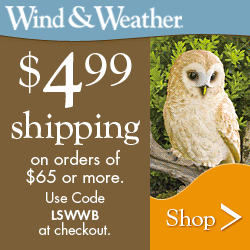 Wind and Weather